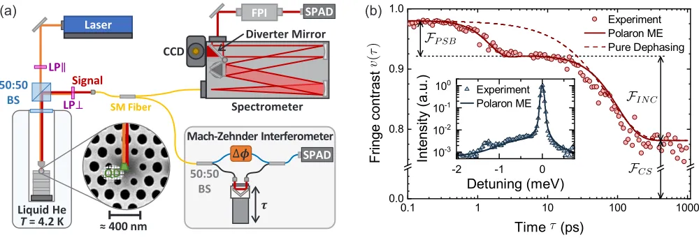 FIG. 1.(a) Schematic of the experiment: BS - beam splitter, CCD - charge-coupled device (camera), FPI - Fabry-PerotExperimental measurements of fringe contrast (red circles) agree well with a calculation using the polaron master equation(solid red line) wh
