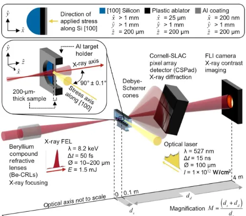 Fig. 1. Experimental configuration of optical drive laser and probe x-rayfree-electron laser