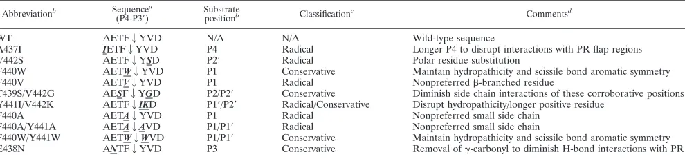 TABLE 1. Mutations introduced into the RT p51-RNH cleavage site