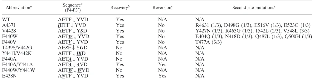 TABLE 3. Sequencing analysis of recovered RT p51-RNH cleavage site mutant virions