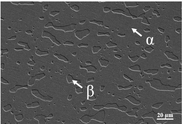 Figure 1.   Dual-phase microstructure of the as-received Cu60-40Zn alloy revealed by SEM after etching