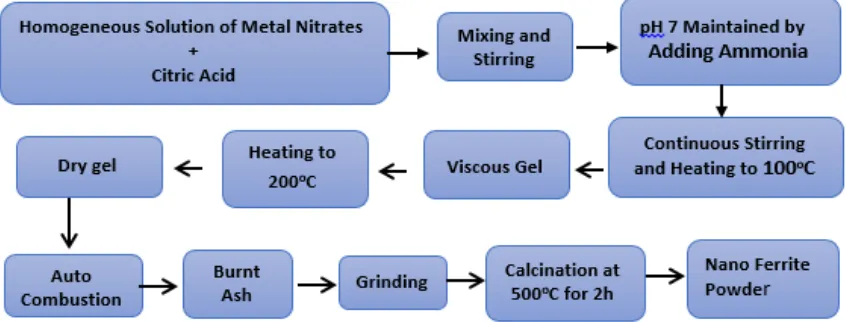 Figure 1. Schematic diagram representing the preparation of nanoferrites. 