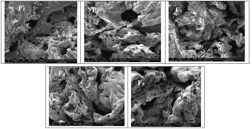 Figure 3. SEM images of AlyCu0.15Zn0.85-yFe2O4 nanoferrites for different Al contents.