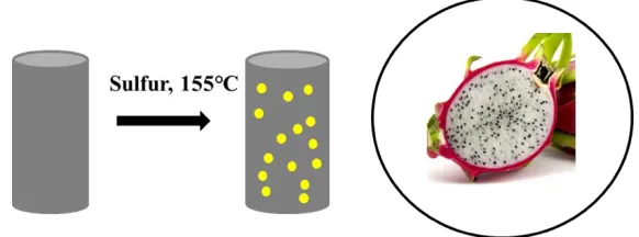 Figure 1.  The schematic for the preparation of CN/S composites. 