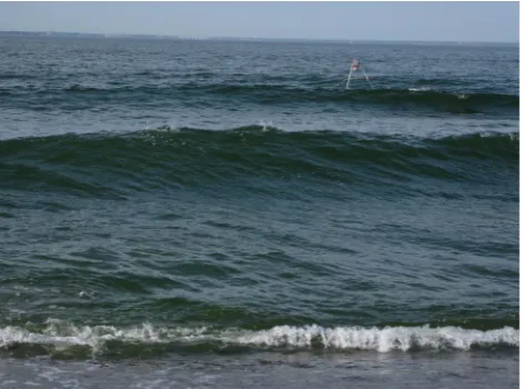 Fig. 3. Ship wakes approaching the coast of Aegna.