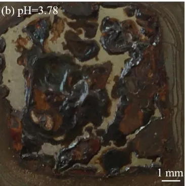 Fig. 2 shows the macroscopic corrosion morphologies of X70 steel in the contaminated silty 