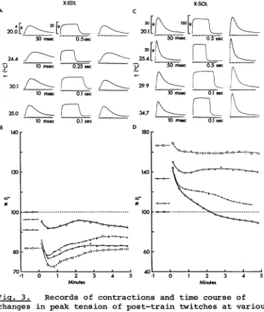 Fig. 3. changes in peak tension of post-train twitches at various