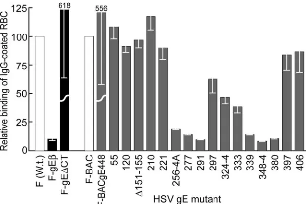 FIG. 8. IgG binding of gE ET domain mutants. HaCaT cells were infected with wild-type HSV-1 (F); F-gE�and then washed, and the radioactivity in cell extracts was counted