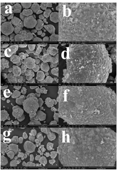 Figure 3.  SEM micrographs of Li1.02Mn2O4 samples synthesized at different sintering times (5 h, 10 h, 15 h, and 20 h) (a,b): 5 h; (c,d): 10 h; (e,f): 15 h; (g,h): 20 h