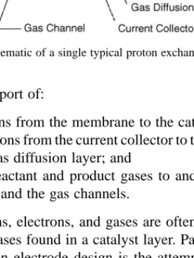 Fig. 1. Schematic of a single typical proton exchange membrane fuel cell.