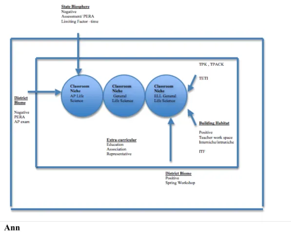 Figure 3. Case Study Diagram Carrie 
