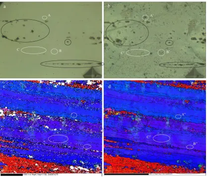 Figure 9.  The locations of corrosion pit initiation of the A1 specimen (a) before being immersed and (b) after 4 hours of immersion; (c) EBSD map before noise reduction (d) EBSD map after noise reduction