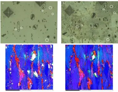 Figure 11.  Surface images for the A1 specimen and the A2 specimen immersed for 4 hours in 3.5% NaCl solution