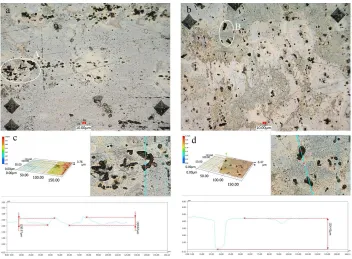 Fig. 12d, respectively. As seen in the figure, the corresponding maximum pitting depth of the A1 