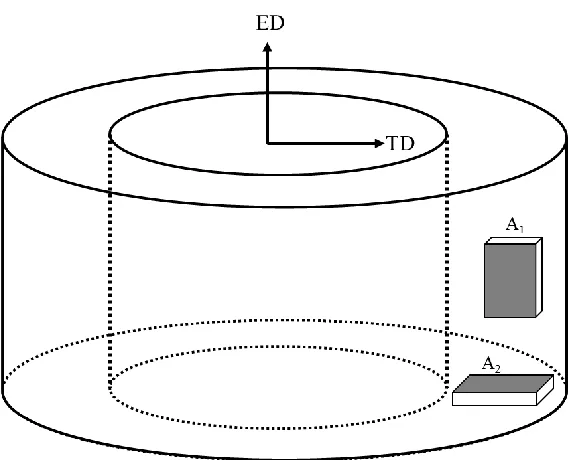Figure 1.  Sample reference system in the drilling pipes. 