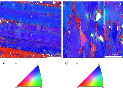 Figure 3.  Inverse pole figures from the A1 specimen (a) and the A2 specimen (b). 