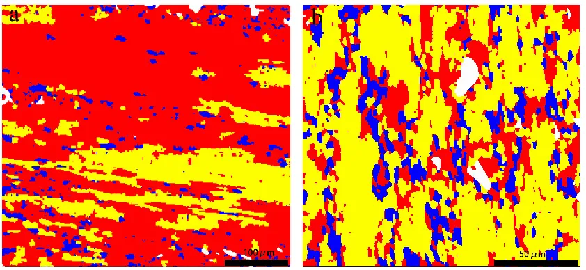 Figure 5. The recrystallized distributions of the A1 specimen (a) and the A2 specimen (b)