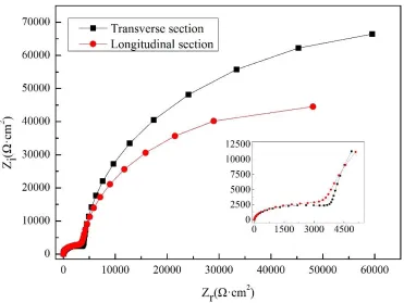 Figure 8.  Nyquist plots for the longitudinal specimen (A1) and the transverse specimen (A2) in 3.5% NaCl solution