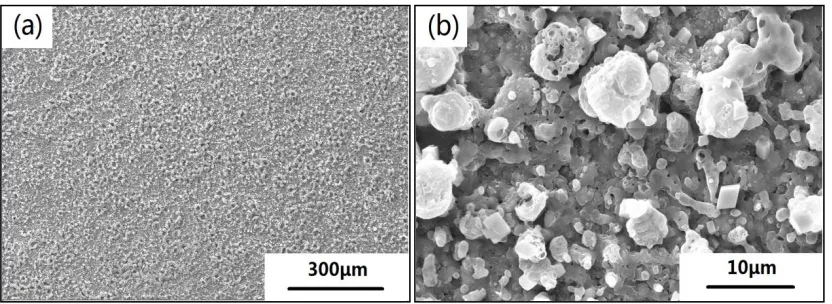 Figure 7.  Surface morphologies of the coating at 3 g·L-1 after the thermal shock tests: (a) 200x magnification; (b) 5000x magnification  