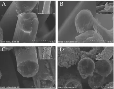Figure 2.  SEM images of (A) CFC, (B) GO/CFC,(C) Pt/CFC, (D) GO-Pt/CFC electrodes. 