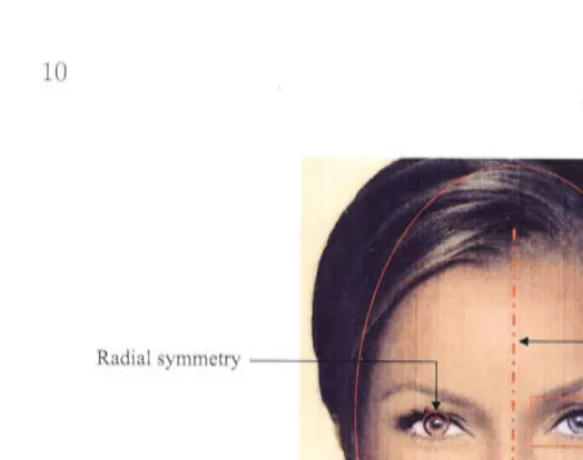 Figure 2.1: Facial qualities suitable for detection by a computer. 