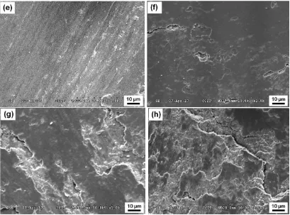 Figure 10. SEM morphologies of the worn surfaces of Cr−C coatings (a) as-deposited, (b) annealed at 200 °C, (c) annealed at 400 °C, (d) annealed at 600 °C and Cr−C/Al2O3 composite coatings (e) as-deposited, (f) annealed at 200 °C, (g) annealed at 400 °C, (