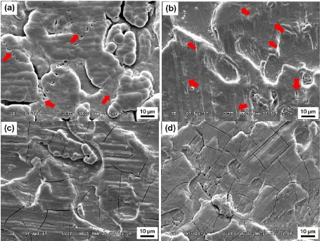 Fig. 1. The as-deposited sample presents a typical nodular structure with some microcracks (red arrows The SEM morphologies of the as-deposited and heat treated Cr−C coatings are displayed in in Fig