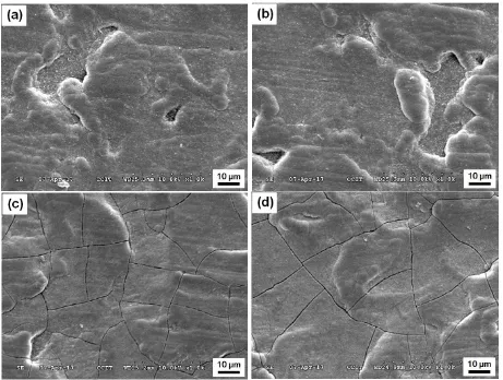 Figure 2. Surface morphologies Cr–C/Al2O3 composite deposit heated at various temperatures: (a) as-plated, (b) 200 ℃, (c) 400 ℃ and (d) 600 ℃