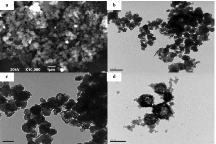 Figure 1.  (a) the typical XRD pattern of the as-prepared MgFe2O4 composites, (b) the TGA curve of the precursor