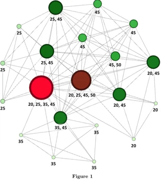 Figure 1. Example of a Within-brokerage Network 