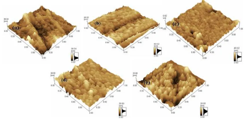 Figure 4. AFM images of the anodic oxide film formed at different sodium-tartrate concentrations: (a) 1 g L-1, (b) 5 g L-1, (c) 15 g L-1, (d) 30 g L-1, and (e) 50 g L-1