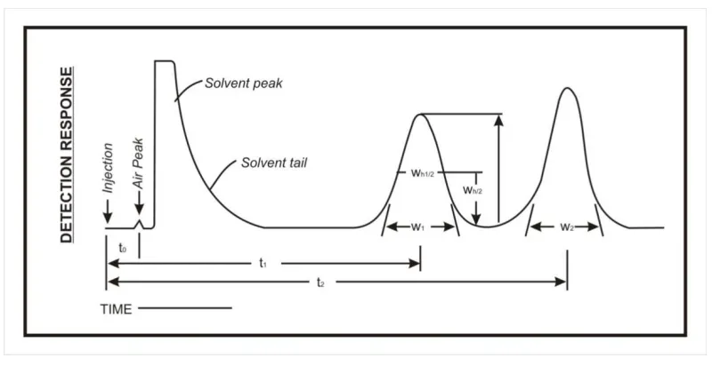 Figure 1.2 Diagrammatic representation of Interpretation of chromatogram 