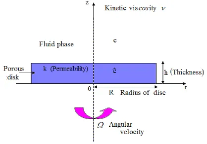 Figure 1. Schematic of a porous rotating disk electrode. 