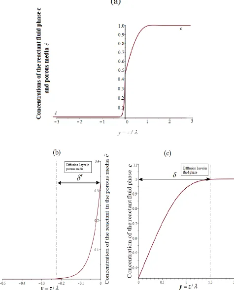 Figure 2. (a)-(c) . Concentrations   in the fluid phase c and in the porous media cˆ  using Eqns