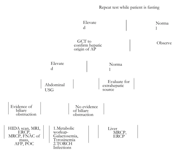 Fig. 3. Algorithm to evaluate Marked Rise of Alkaline Phosphatase  Elevated Alkaline phosphatase (AP)  History and physical examination 