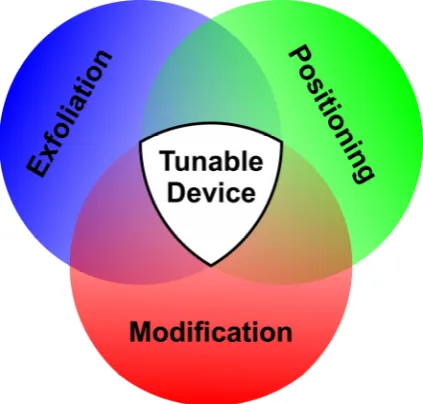 Figure 1.1. Toward nanosheet-based devices with tailor-made properties. A key requirement is the development of efficient,