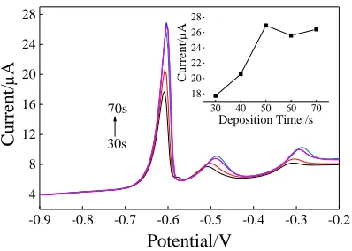 Figure 6.  Effect of supporting electrolyte on the peak current of Pb2+ at Co3O4/GCE. Amplitude, 25 mV; frequency, 15 Hz; quite time: 2 s