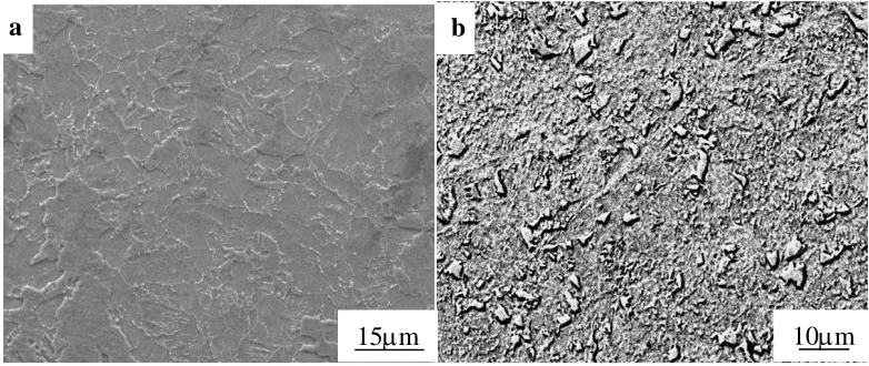 Figure 1.  Microstructure of (a) X65 and (b) X80 steels  