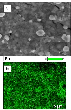 Figure 1. SEM/EDS images of the DSA electrode surface of Ti|RuO2 at 5000 x and 20 kV from: a) a surface morphology analysis and b) an elemental mapping of Ru (in green colour)