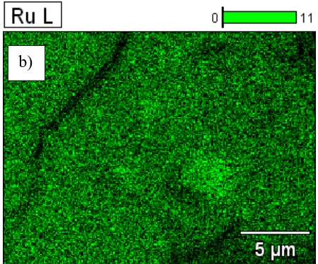 Figure 2. SEM/EDS images of the DSA electrode surface of A304|RuO2 at 5000 x and 20 kV from: a) a surface morphology analysis and b) an elemental mapping of Ru (in green colour)