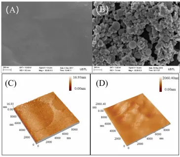 Figure 1.  SEM and AFM images of PI/GCE (A, C) and Ag/PI/GCE (B, D). 