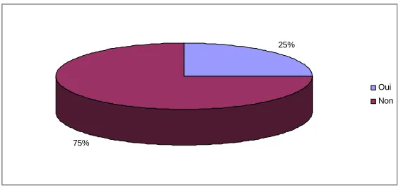 Figure 9 : CSO Support Programme in Niger and the webpage of the ARIANE programme in Mali 
