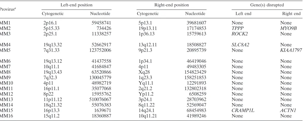 TABLE 4. Vector proviruses where left and right junctions mapped to different chromosomes