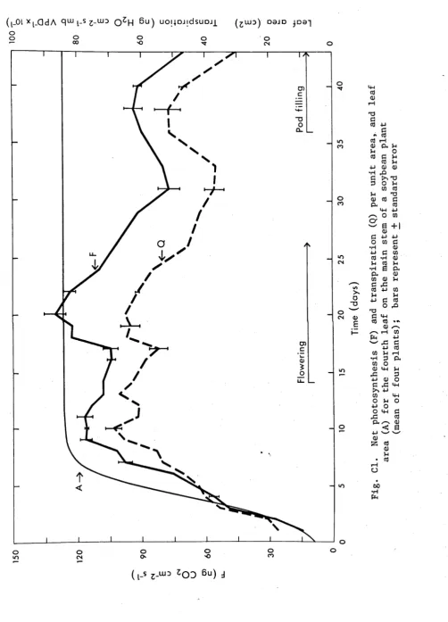 Fig. Cl. area (A) for the fourth leaf on the main stem of a soybean plant