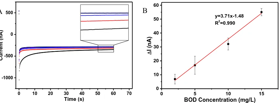 Figure 6. (A) Current response of the B. subtilis-modified electrode to 15 mg/l BOD solution in the first five minutes of contact (curves from bottom to top correspond to 0 min to 5 min)