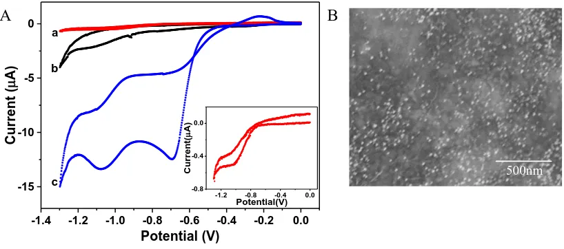 Figure 2. (A) CV curves of the Au microelectrode in an aqueous solution of (a) 2 mg/ml GN-COOH, (b) 0.073 mM HAuCl4, and (c) 2 mg/ml GN-COOH + 0.073 mM HAuCl4