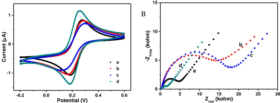 Figure 3. CV curves (A) and EIS curves (B) of different modified microelectrodes in 2 mM (A) and 20 mM (B) K3Fe(CN)6 solutions