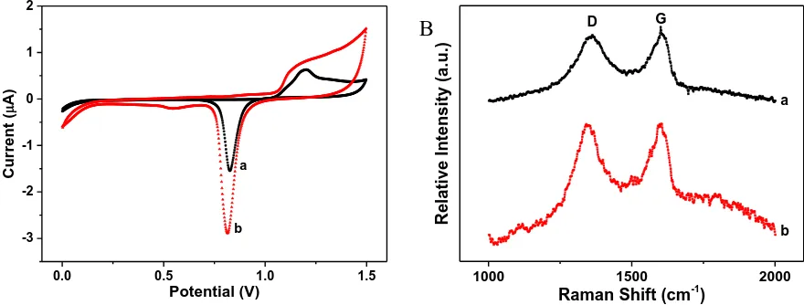 Figure 4. (A) CV curves of bare Au (a) and GN-COOH-AuNPs/Au (b) in 5 mM Hspectra of GN-COOH (a) and electrodeposited GN-COOH (b)