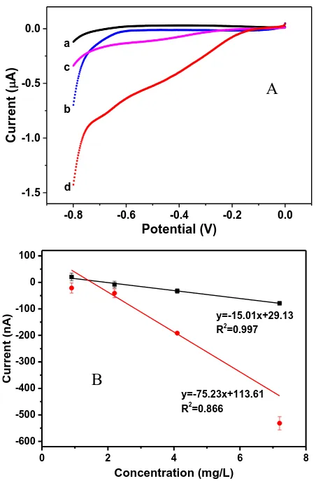 Figure 5. (A) Response of the bare microelectrode in oxygen-removed PBS (a) and air-saturated PBS (c), and the response of the modified microelectrode in oxygen-removed PBS (b) and air-saturated PBS (d); (B) The calibration curve of the bare electrode (bla