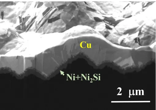 Figure 3. SEM images of the Cu/Ni (120 nm)/ta-Si sample annealed at 300 °C for 10 min